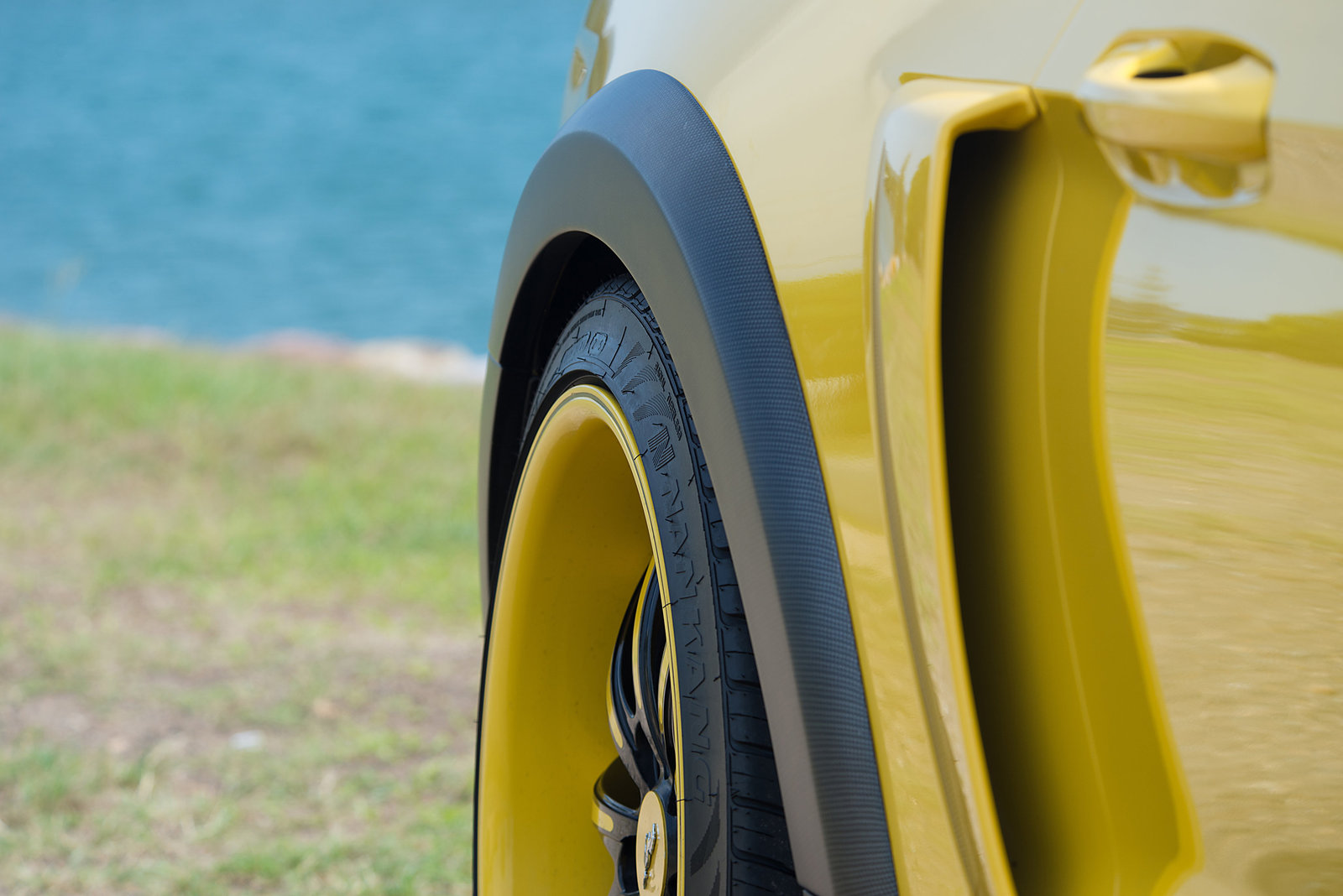 Mustang Side Scoops