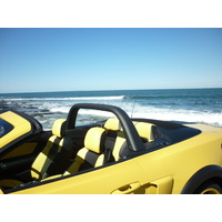 2015-22 Mustang Convertible Light Bar - Carbon Fibre   WINTER  SALE
