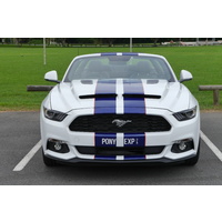 2015-2019 Ford Mustang Ram Air Hood