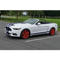 2015-2019 Ford Mustang Ram Air Hood