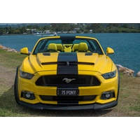 2015-2019 Ford Mustang Ram Air Hood