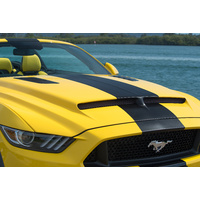 2015-2019 Ford Mustang Ram Air Hood