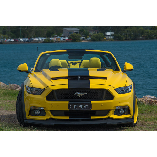 2015-2019 Ford Mustang Ram Air Hood