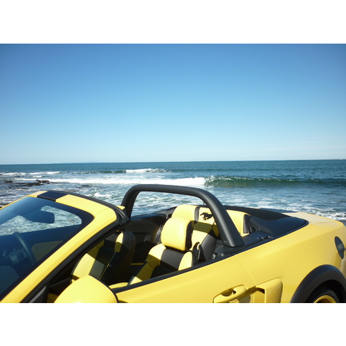 2015-22 Mustang Convertible Light Bar - Carbon Fibre   WINTER  SALE